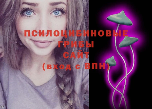 стаф Вяземский